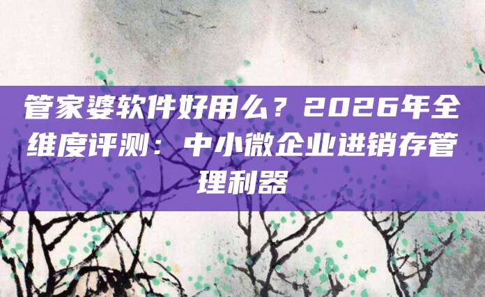 管家婆软件好用么？2026年全维度评测：中小微企业进销存管理利器