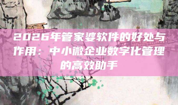 2026年管家婆软件的好处与作用：中小微企业数字化管理的高效助手