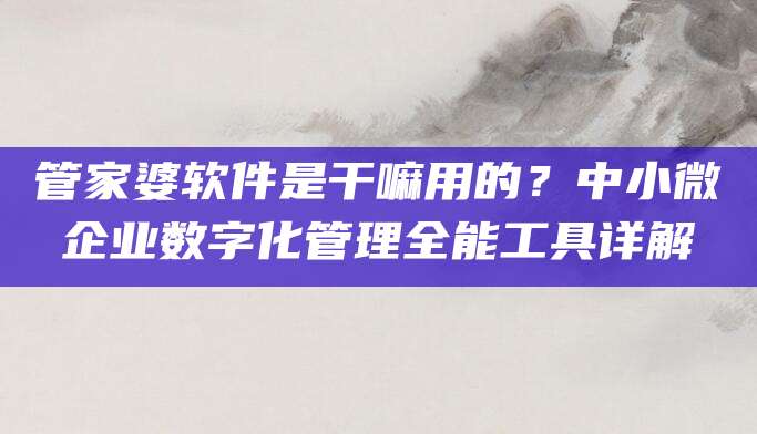 管家婆软件是干嘛用的？中小微企业数字化管理全能工具详解
