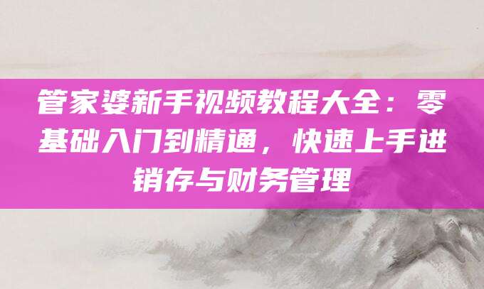 管家婆新手视频教程大全