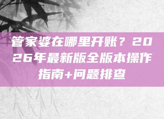 管家婆在哪里开账？2026年最新版全版本操作指南+问题排查