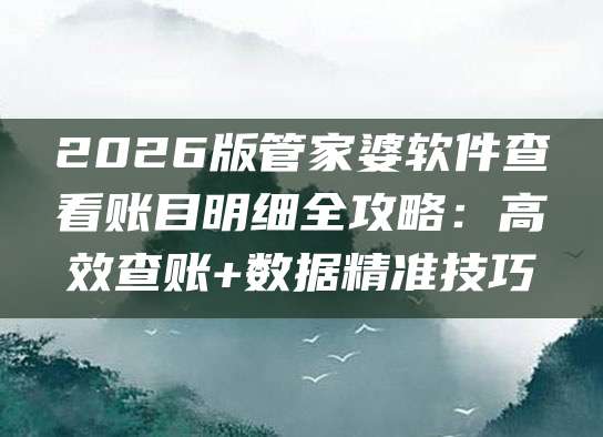 2026版管家婆软件查看账目明细全攻略:高效查账+数据精准技巧